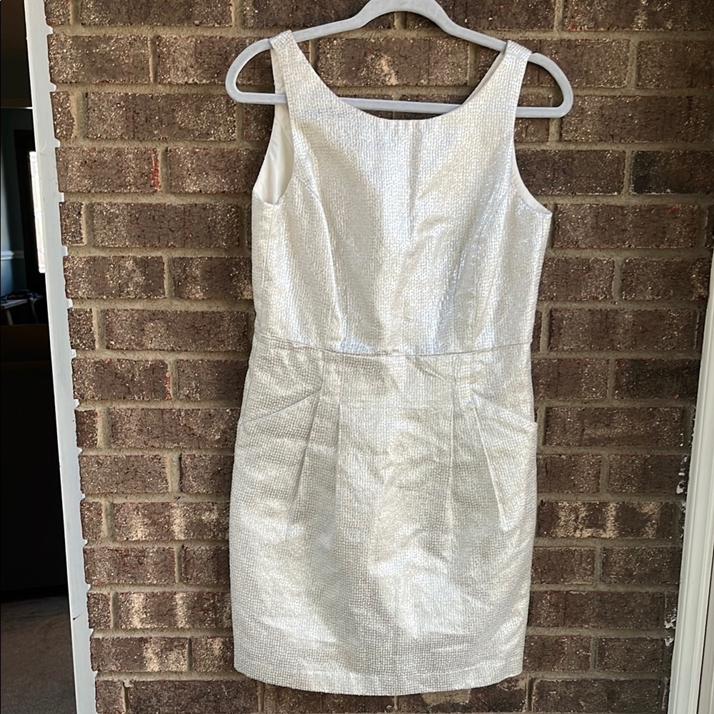 Dalia Elegant Silver Shimmer Sleeveless Dress with pockets size 6